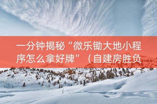 一分钟揭秘“微乐锄大地小程序怎么拿好牌”（自建房胜负规律)