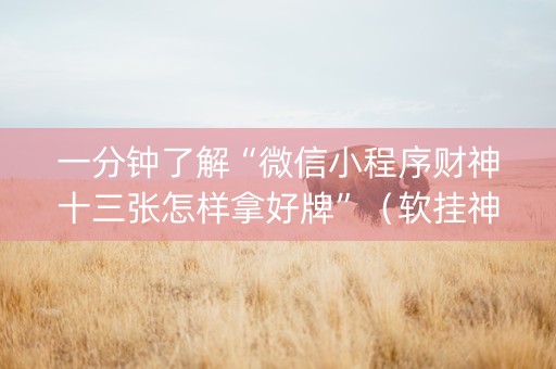 一分钟了解“微信小程序财神十三张怎样拿好牌”（软挂神器)