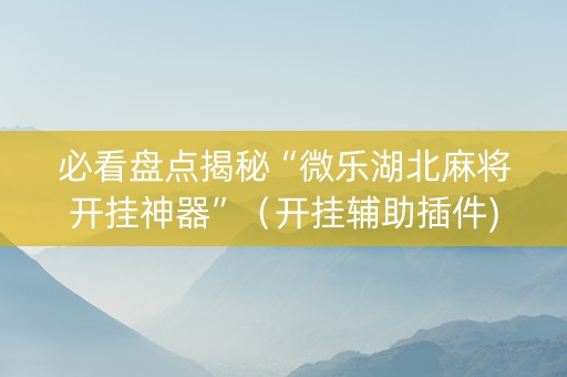必看盘点揭秘“微乐湖北麻将开挂神器”（开挂辅助插件)