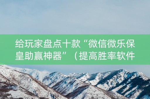 给玩家盘点十款“微信微乐保皇助赢神器”（提高胜率软件)