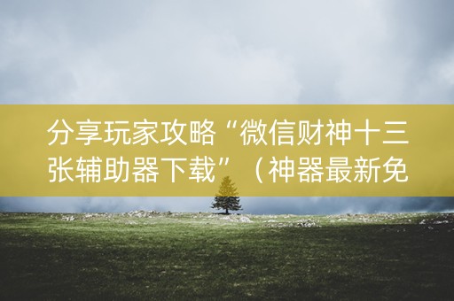 分享玩家攻略“微信财神十三张辅助器下载”（神器最新免费)