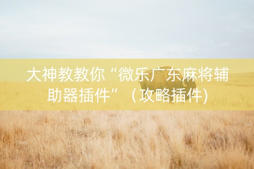 大神教教你“微乐广东麻将辅助器插件”（攻略插件)