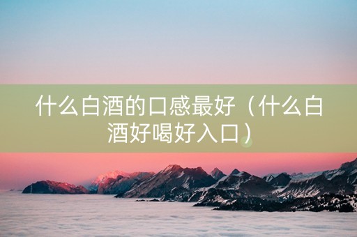 什么白酒的口感最好（什么白酒好喝好入口）