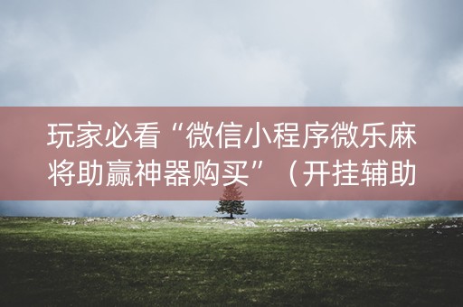 玩家必看“微信小程序微乐麻将助赢神器购买”（开挂辅助器脚本)