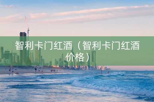智利卡门红酒（智利卡门红酒价格）
