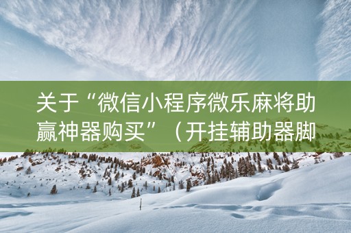 关于“微信小程序微乐麻将助赢神器购买”（开挂辅助器脚本)