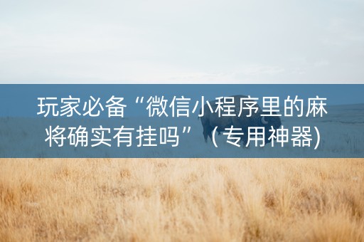 玩家必备“微信小程序里的麻将确实有挂吗”（专用神器)