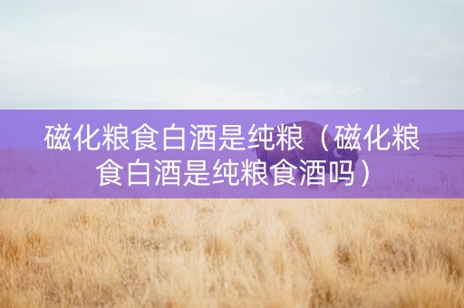 磁化粮食白酒是纯粮（磁化粮食白酒是纯粮食酒吗）