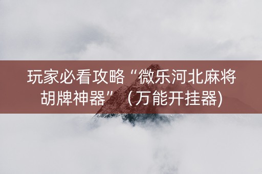 玩家必看攻略“微乐河北麻将胡牌神器”（万能开挂器)