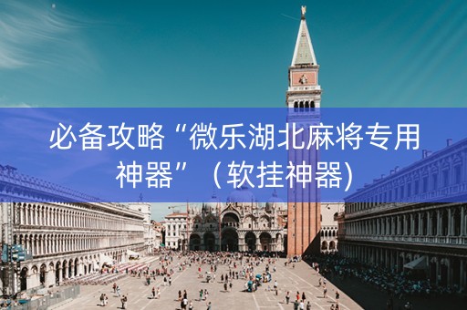 必备攻略“微乐湖北麻将专用神器”（软挂神器)