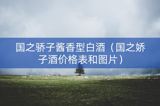 国之骄子酱香型白酒（国之娇子酒价格表和图片）