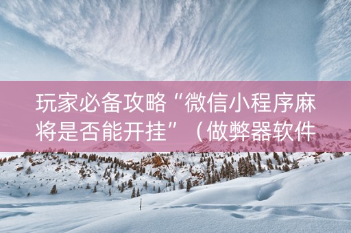 玩家必备攻略“微信小程序麻将是否能开挂”（做弊器软件下载)
