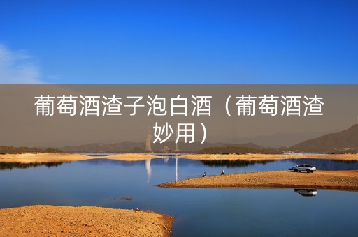 葡萄酒渣子泡白酒（葡萄酒渣妙用）