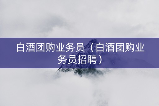 白酒团购业务员（白酒团购业务员招聘）