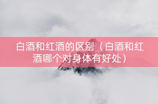 白酒和红酒的区别（白酒和红酒哪个对身体有好处）