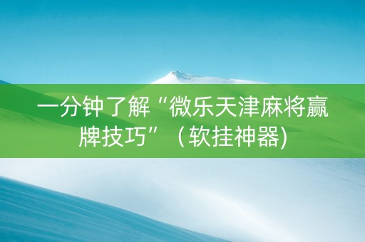 一分钟了解“微乐天津麻将赢牌技巧”（软挂神器)