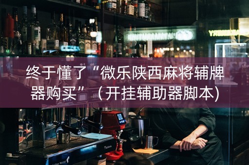 终于懂了“微乐陕西麻将辅牌器购买”（开挂辅助器脚本)