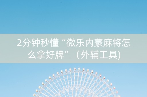 2分钟秒懂“微乐内蒙麻将怎么拿好牌”（外辅工具)