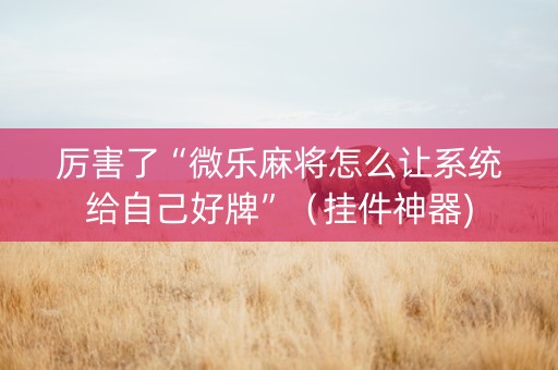 厉害了“微乐麻将怎么让系统给自己好牌”（挂件神器)