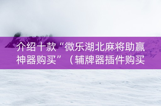 介绍十款“微乐湖北麻将助赢神器购买”（辅牌器插件购买)