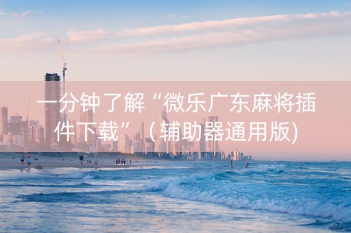 一分钟了解“微乐广东麻将插件下载”（辅助器通用版)