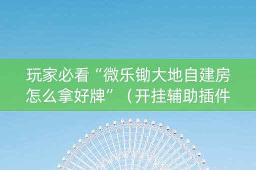 玩家必看“微乐锄大地自建房怎么拿好牌”（开挂辅助插件)