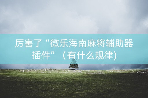 厉害了“微乐海南麻将辅助器插件”（有什么规律)