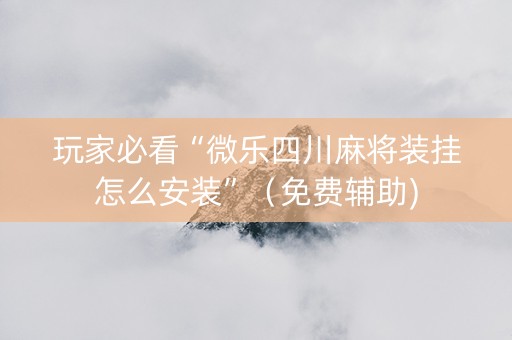 玩家必看“微乐四川麻将装挂怎么安装”（免费辅助)