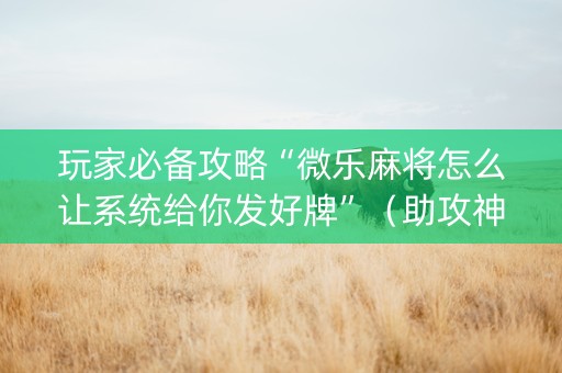玩家必备攻略“微乐麻将怎么让系统给你发好牌”（助攻神器)