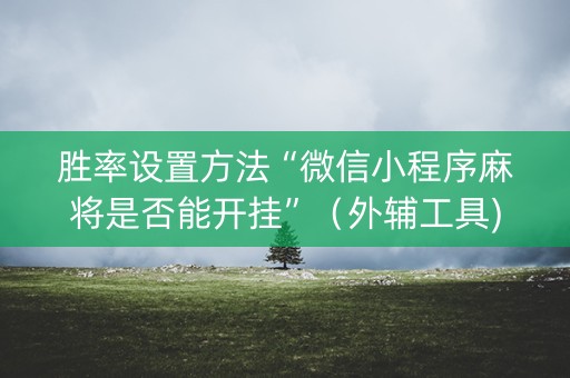 胜率设置方法“微信小程序麻将是否能开挂”（外辅工具)
