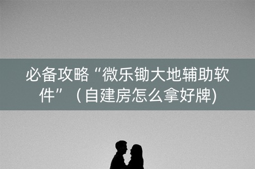 必备攻略“微乐锄大地辅助软件”（自建房怎么拿好牌)