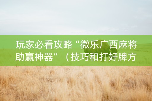 玩家必看攻略“微乐广西麻将助赢神器”（技巧和打好牌方法)