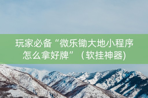 玩家必备“微乐锄大地小程序怎么拿好牌”（软挂神器)
