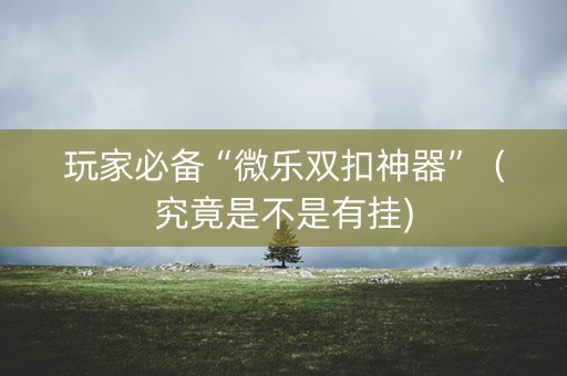 玩家必备“微乐双扣神器”（究竟是不是有挂)