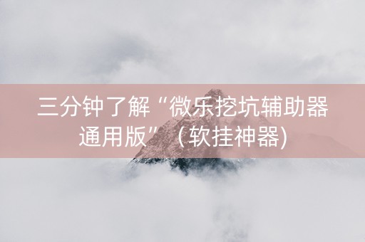 三分钟了解“微乐挖坑辅助器通用版”（软挂神器)