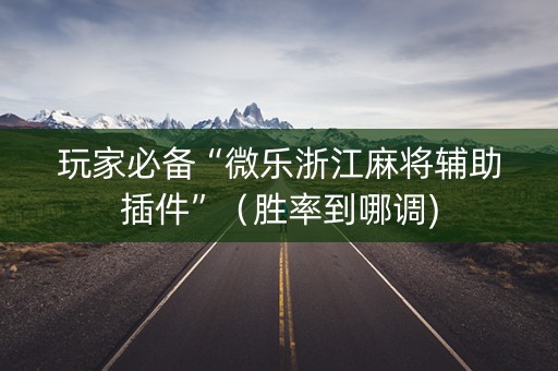 玩家必备“微乐浙江麻将辅助插件”（胜率到哪调)