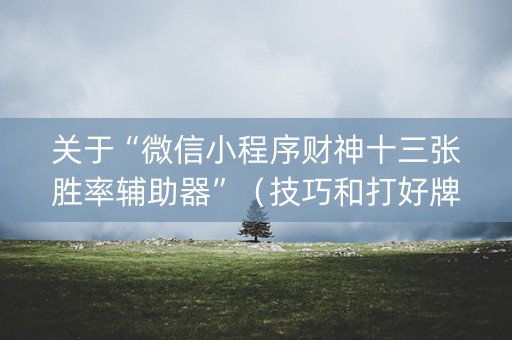 关于“微信小程序财神十三张胜率辅助器”（技巧和打好牌方法)