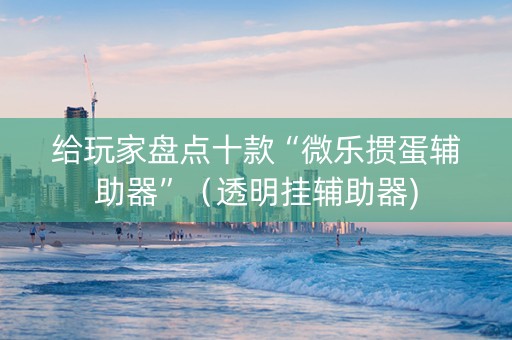 给玩家盘点十款“微乐掼蛋辅助器”（透明挂辅助器)