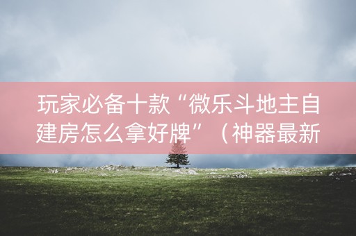 玩家必备十款“微乐斗地主自建房怎么拿好牌”（神器最新免费)