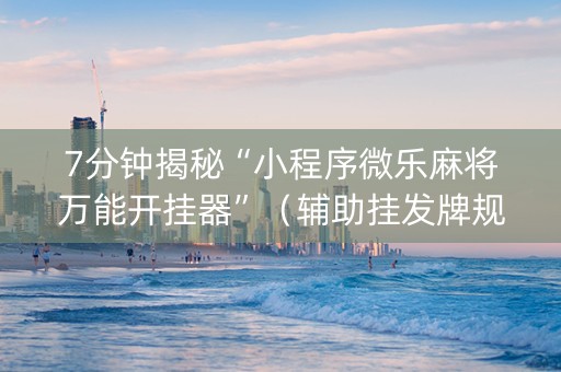7分钟揭秘“小程序微乐麻将万能开挂器”（辅助挂发牌规律)