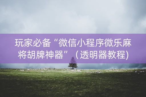 玩家必备“微信小程序微乐麻将胡牌神器”（透明器教程)