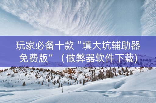 玩家必备十款“填大坑辅助器免费版”（做弊器软件下载)