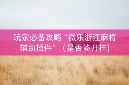 玩家必备攻略“微乐浙江麻将辅助插件”（是否能开挂)