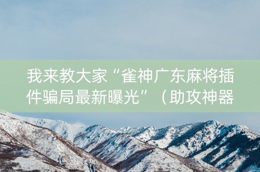 我来教大家“雀神广东麻将插件骗局最新曝光”（助攻神器)
