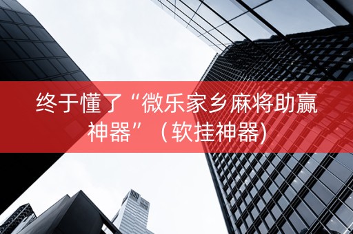 终于懂了“微乐家乡麻将助赢神器”（软挂神器)