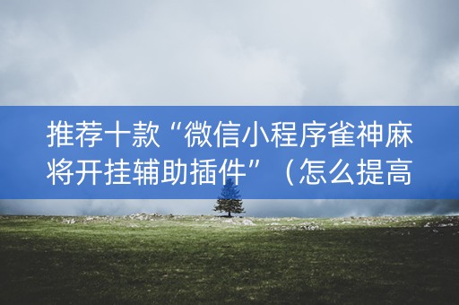 推荐十款“微信小程序雀神麻将开挂辅助插件”（怎么提高胜率)