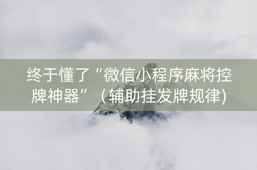 终于懂了“微信小程序麻将控牌神器”（辅助挂发牌规律)