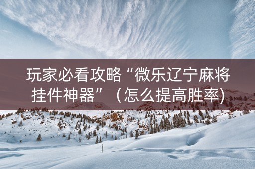 玩家必看攻略“微乐辽宁麻将挂件神器”（怎么提高胜率)