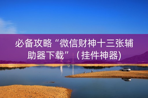 必备攻略“微信财神十三张辅助器下载”（挂件神器)
