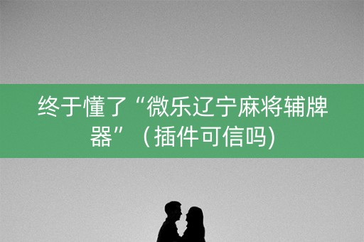 终于懂了“微乐辽宁麻将辅牌器”（插件可信吗)